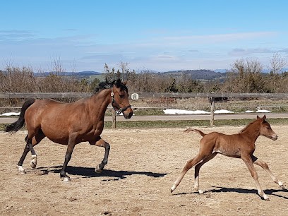 Chevaux au vent, Centre Equestres à La Malène