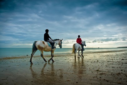 Les Cavaliers De L'Ileau, Centre Equestres à Saint-Georges-d'Oléron