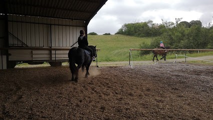 Cheval Senior, Centre Equestres à Gaudiès