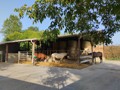 Le Vallon Des Oréades, Pension Pour Chevaux à Pailloles