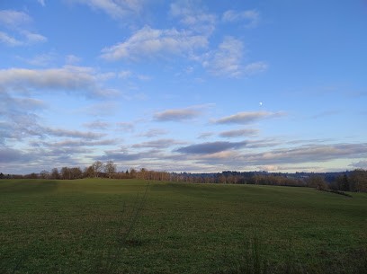 Ecuries De Bellefond, Centre Equestres à Saint-Just-le-Martel