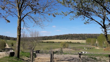 Kaag Joseph, Centre Equestres à Rupt-devant-Saint-Mihiel