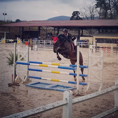 Bessy Equitation SARL, Centre Equestres à Roche-la-Molière