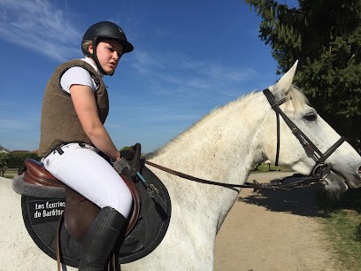 Les ecuries de Barétous, Pension pour Chevaux à Lanne-en-Barétous