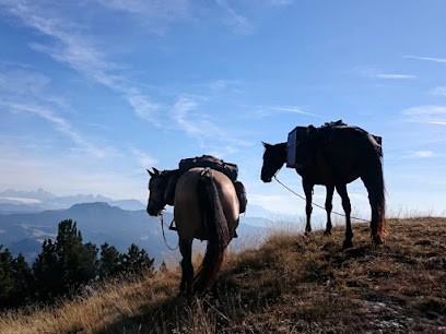 Cavalicimes, Centre Equestres à Valdrôme