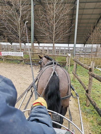 VERDILLE ATTELAGES, Centre Equestres à Verdille