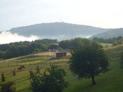 Haras de Vesontio, Pension pour Chevaux à Besançon