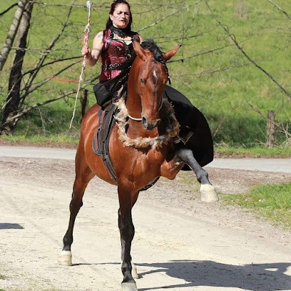 Vine Frederique, Centre Equestres à Lisle-sur-Tarn