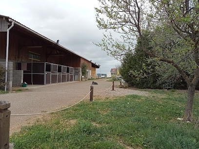 Ecurie d'Espirat, Pension pour Chevaux à Espirat