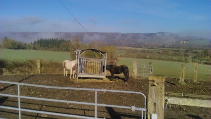 pension chevaux la gatine, Pension pour Chevaux à Brunelles