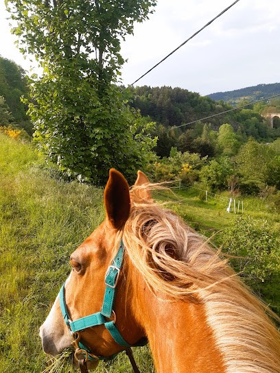 Les Enfants Du Centaure Poney-Club, Centre Equestres à Langogne