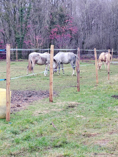 Écuries Des Blés D'or 88, Centre Équestre à Tranqueville-Graux