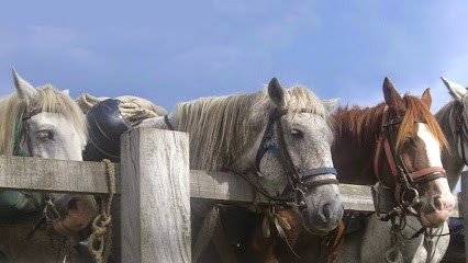 Equestrian Farm Les Collines, Centre Equestres à Ossès
