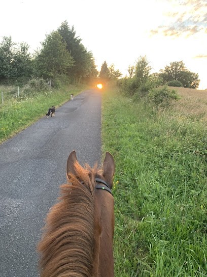 Ecurie Shirley Boussard, Centre Equestres à Saint-Priest-Ligoure