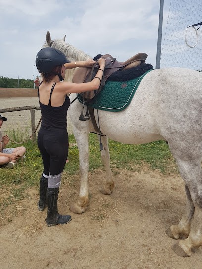 Stables D'haziel, Centre Equestres à Cornebarrieu