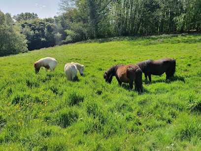Les Ecuries De Laubanie, Pension pour Chevaux à Augignac