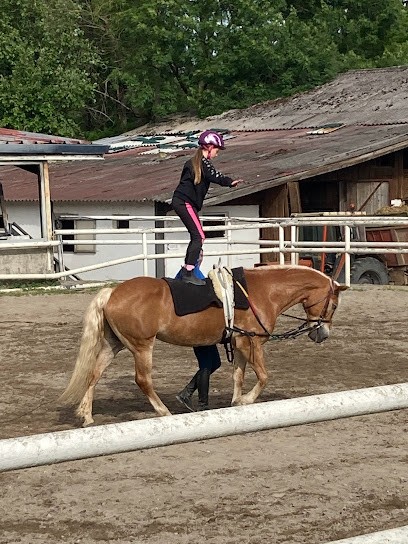 SAS HOFFARTH - HARAS DE LA NEE, Centre Equestres à Neewiller-près-Lauterbourg