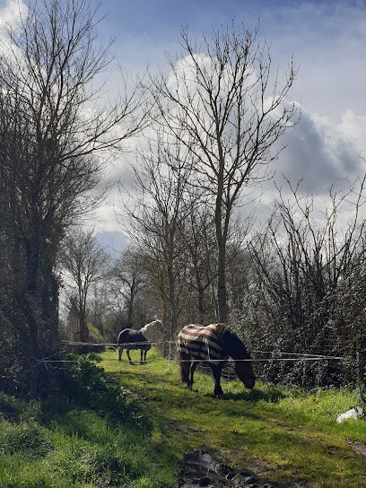 LA CALECHE, Centre Equestres à La Plaine