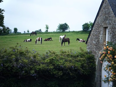 Ecuries Du Domaine De Kerhel, Centre Equestres à Locoal-Mendon