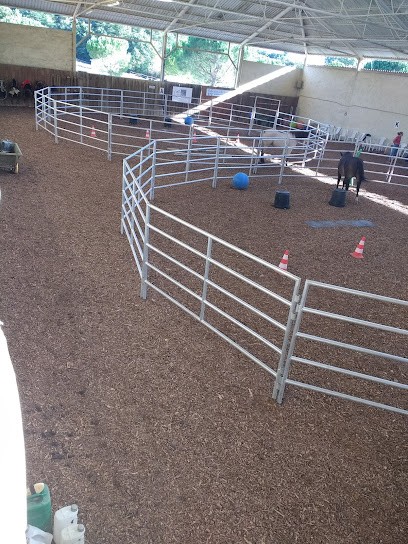 Rec Farm, Centre Equestres à Mirepoix
