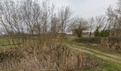 écurie l'étrier, Pension pour Chevaux à Portiragnes