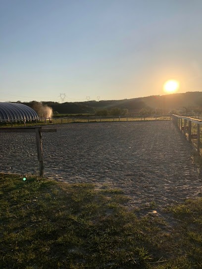 Pension Chevaux Du Palais, Centre Equestres à Optevoz