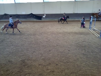 S H DE MULHOUSE, Centre Equestres à Riedisheim