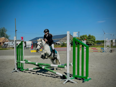 Le Domaine Du Chardonant, Pension Pour Chevaux à Renty