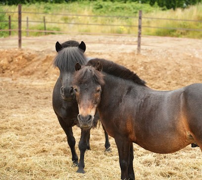 Ecurie Des Bulles, Centre Equestres à Quincampoix