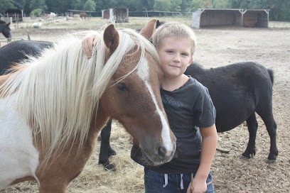 Centre équestre La Crinière D'or, Centre Equestres à Saint-Martin-Lalande