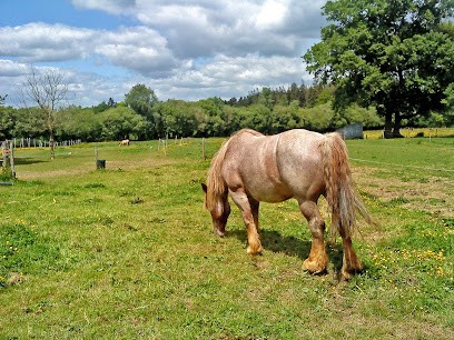 la Ferme de Quéhellec, Pension pour Chevaux à Sérent