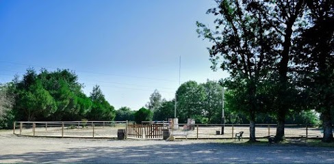 Écurie Faucheux Centre équestre De L'hermitière, Centre Equestres à Orgères