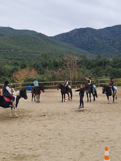 Equestrian Club Omessa, Centre Equestres à Omessa