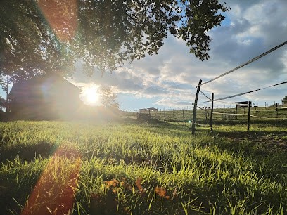 F' Horse de Liberté, Centre Equestres à Aubiac