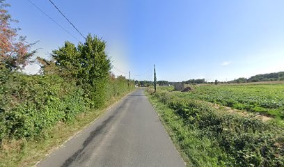 Ecurie Lanista, Pension pour Chevaux à Mansigné