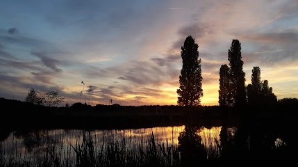 Les Écuries du Marais, Centre Equestres à Larchant