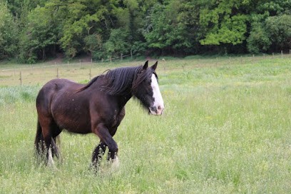 LE RETOUR AUX SOURCES, Centre Equestres à Tourneville
