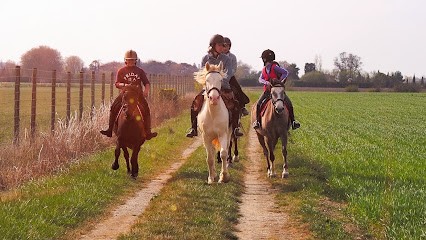 Les Ecuries Lou Bayle, Centre Equestres à Vira