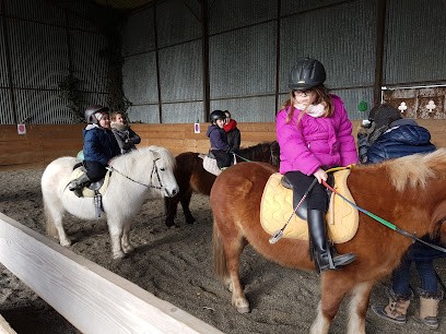 Ferme Equestre D'Osmoy, Centre Equestres à Osmoy