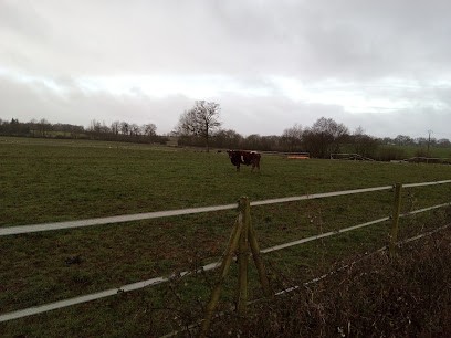 Oceane ranch, Pension pour Chevaux à Essarts en Bocage