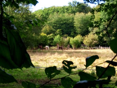 Les Ecuries du Criquet, Pension pour Chevaux à La Poterie-Mathieu
