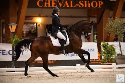 Les Écuries D'Acot, Centre Equestres à Gan