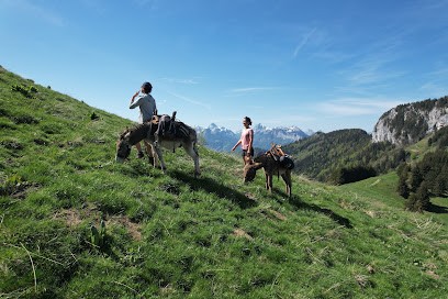 Forcl'ânes, Centre Equestres à Doussard
