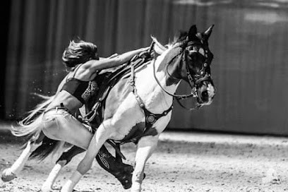 Ecurie D'Arts Equestres De Condis, Centre Equestres à Lafitte