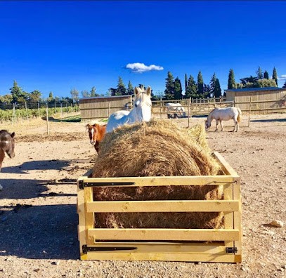 Les Écuries D'harmonie, Centre Equestres à La Palme