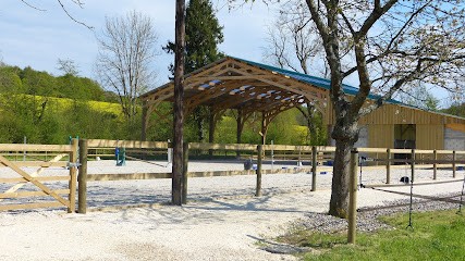 Ecurie De Sainte Avoye, Pension pour Chevaux à Dammartin-sur-Tigeaux