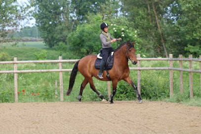 EQUIRIS, Centre Equestres à Coussac-Bonneval