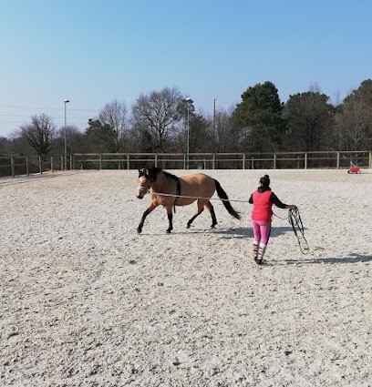 Les Ecuries de Biraval - Ecurie de propriétaires, Pension pour Chevaux à Coulounieix-Chamiers