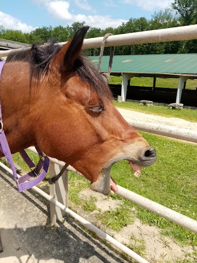 ECURIES DU GAUDOUX VIGNOBLES BRUERE, Centre Equestres à Saint-Antoine-du-Queyret