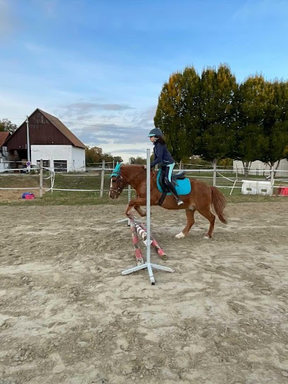 Écurie Du Grand Ried, Pension pour Chevaux à Artzenheim